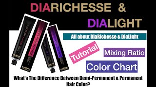 DiaRichesse amp DiaLight Tutorial All about hair color DiaRichesse amp DiaLight by Loreal Professionnel [upl. by Dilisio]