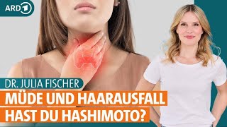 Hashimoto Symptome für eine Schilddrüsenunterfunktion erkennen  Dr Julia Fischer  ARD Gesund [upl. by Eglantine]