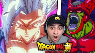 BEAST GOHAN DBS SUPER HERO REACTION Part 3 [upl. by Northway230]