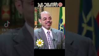 meleszenawi funny enterveiw [upl. by Thor]