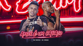 AMOR É UM CARAIO  MC DANINHO E MC TORUGO [upl. by Tamara]