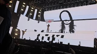 STEVE AOKI  ULTRA JAPAN 2024 [upl. by Erie]