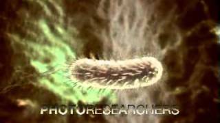 Helicobacter pylori  Photo Researchers [upl. by Pillsbury637]