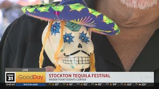 Stockton Tequila Festival 2024 [upl. by Tucker58]