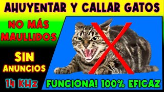 SONIDO PARA AHUYENTAR Y CALLAR GATOS 🚫🐈 REPELENTE DE GATOS [upl. by Lraep]