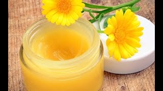 Calendula Part 2 How to make Healing Salves Lotions and lip balms [upl. by Forras]