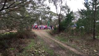 Mt Hayfield 2016 Short course starters [upl. by Mareld]