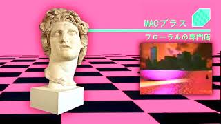 Macintosh Plus — Vaporwave Edit [upl. by Ihcas669]