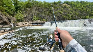 This River Dam is LOADED with Fish [upl. by Stewart]