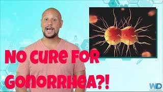 No cure for gonorrhea [upl. by Aleina]