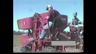 FARM SHOW  Combine Mounted Grain Cleaner quotDestroysquot Weed Seed [upl. by Lynde]