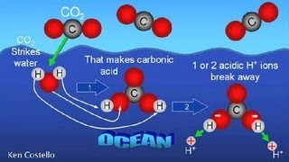 How Does Carbon Dioxide Enter Sea Water  Earth Science [upl. by Shanks634]