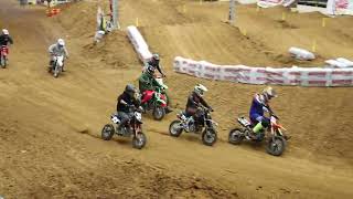 Tri State MX Arenacross 20212022  Round 3 Salem VA  MAIN  Pitbike AM and Pitbike Money [upl. by Ennayhc]