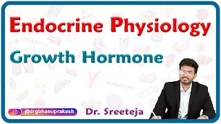 Growth Hormone  Endocrine Physiology USMLE Step 1 [upl. by Krefetz615]