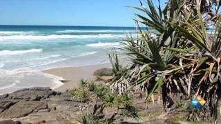 Kgari Explorer Tours  Fraser Island Tours [upl. by Zipah]