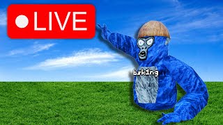 Gorilla Tag Live With Viewers Codes  Minigames [upl. by Schoof]