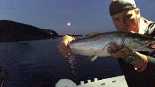 Dokumentar  Drømmefiske på Mjøsa etter Mjøsørret  Storørret Big Trout  Norwegian HighRes [upl. by Damicke]