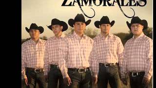 Zamorales Recuerdos Eres Tu 2011flv [upl. by Ahsiugal546]