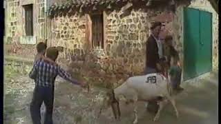 Los pastores trashumantes de las 7 Villas RTVE 1984 [upl. by Busby809]