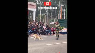 Soldier Dog 🦮 Parade At Suchetgarh Border shorts bsf doglover [upl. by Aitnyc227]