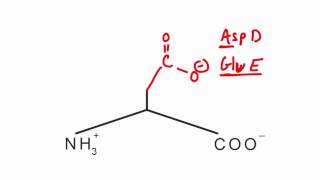 Memorize the 20 amino acids in 20 minutes Part 2 [upl. by Akelahs]