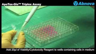 ApoToxGlo™ Triplex Assay [upl. by Myers163]