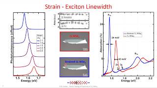 Strain Tuning of Excitons in monolayer WSe2 [upl. by Anner581]