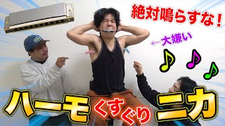 絶対に鳴らしてはいけない復活！くすぐりハーモニカがめちゃくちゃ面白かった！！Tickling harmonica challenge [upl. by Oremo]