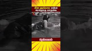 மீன் புடிக்காம என்ன செய்றாரு பாருங்க  Deiva Magan Tamil Movie Scenes  Sivaji  ytshorts [upl. by Stanwin97]