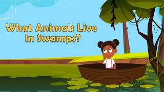 What Animals Live In Swamps  Swamp Animals  Animal Facts  Facts for Kids [upl. by Hallock403]