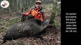 Chasse au gros gibier saison 20192020 [upl. by Eirrok219]