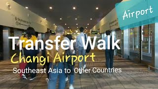 Changi Airport Singapore Transit  Transfer Walk Terminal 2 to Terminal 3 [upl. by Magdalene]