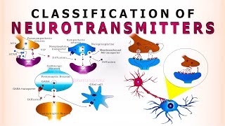 Neurotransmitters  classification of neurotransmitters [upl. by Silvester]