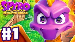 Spyro 2 Riptos Rage  Complete 100 Walkthrough  All Gems All Orbs All Talismans Longplay [upl. by Airalav]