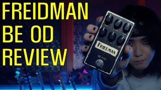 REVIEW Friedman BEOD 리뷰 I마샬계열 끝판왕I [upl. by Anikram592]