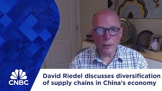 Diversification of supply chains is holding back Chinas economic recovery David Riedel [upl. by Uwton]