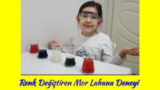 Okul Öncesi Renk Değiştiren Mor Lahana Deneyi Colour Changing Purple Cabbage Experiment [upl. by Gilman]