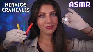 ASMR • Examino tus NERVIOS CRANEALES Test Completo roleplay médico [upl. by Jed]