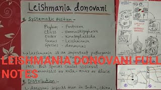 Leishmania donovani full notes [upl. by Ditmore]