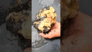 WOOW 😱 AMAZING GOLD PROSPECTING GOLD DISCOVERY GOLD RUSH GOLD PANNING GOLD HUNTER GOLDDISCOVERY [upl. by Narton437]