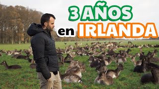 IRLANDA Ni paraiso ni pesadilla 3 años en DUBLÍN [upl. by Eppesiug]