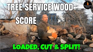 TREE SERVICE WOOD SCORE FULLY PROCESSED FIREWOOD [upl. by Hutner345]