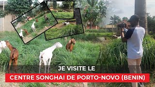 VISITE AU CENTRE SONGHAI DE PORTONOVO BENIN [upl. by Eissolf750]