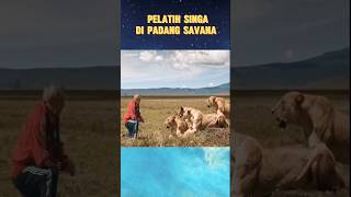 Pelatih Singa Di Padang Savana [upl. by Fairlie174]