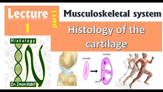 1aHistology of Cartilage part1IntroductionMusculoskeletal system [upl. by Idonna968]