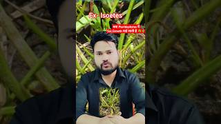 कोनसे Pteridophyta में sec growth पाई जाती हैं pteridophytes isoetes botrychium by skdigrawal [upl. by Uel113]