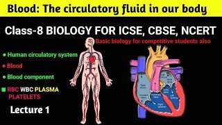 Blood The circulatory fluid of our body Human circulatory system Class8 biology Basic to Advance [upl. by Ezana]