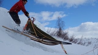 Hundekjøring med Harald Tunheim [upl. by Rimidalb]