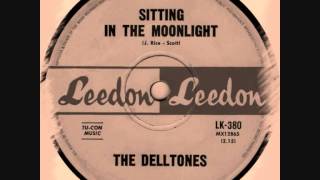 The Delltones  Sitting In The Moonlight [upl. by Hayley20]