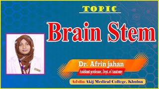 Brain Stem II Dr Afrin jahan II Dept Of Anatomy II AAMC II Online Class II [upl. by Nebra]